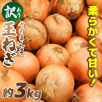 訳ありそのまんま玉ねぎ　約3kg