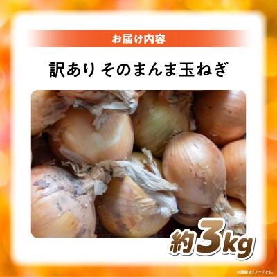 訳ありそのまんま玉ねぎ　約3kg