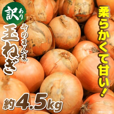 訳ありそのまんま玉ねぎ　約4.5kg