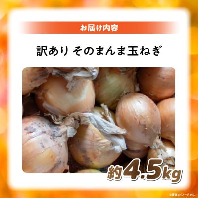 訳ありそのまんま玉ねぎ　約4.5kg