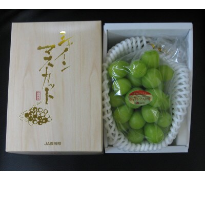 シャインマスカット　1房(約600g以上)化粧箱入り