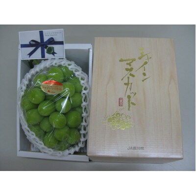【8月31日(夏休み)までの期間限定!!】シャインマスカット　1房(約620g)化粧箱入り