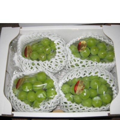 シャインマスカット　約2kg