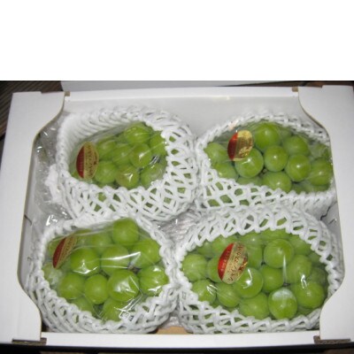 【8月31日(夏休み)までの期間限定企画!!】シャインマスカット　約1.9kg