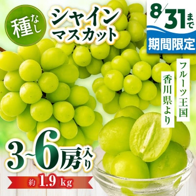 【8月31日(夏休み)までの期間限定企画!!】シャインマスカット　約1.9kg