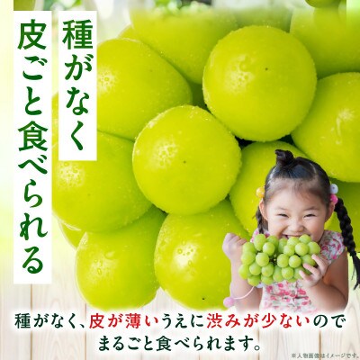 【8月31日(夏休み)までの期間限定企画!!】シャインマスカット　約1.9kg