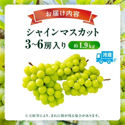 【8月31日(夏休み)までの期間限定企画!!】シャインマスカット　約1.9kg