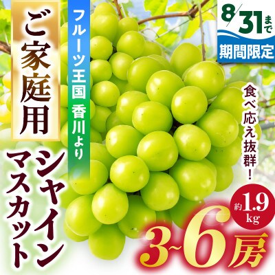 【8月31日(夏休み)までの期間限定企画!!】ご家庭用　シャインマスカット　約1.9kg