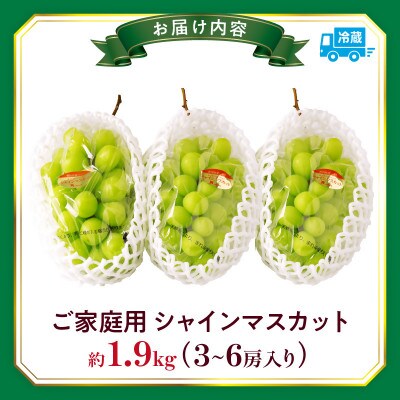 【8月31日(夏休み)までの期間限定企画!!】ご家庭用　シャインマスカット　約1.9kg