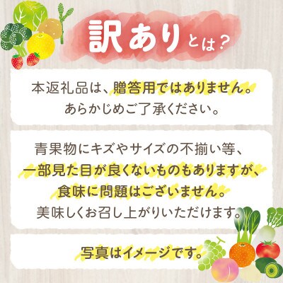 【8月31日(夏休み)までの期間限定企画!!】ご家庭用　シャインマスカット　約1.9kg