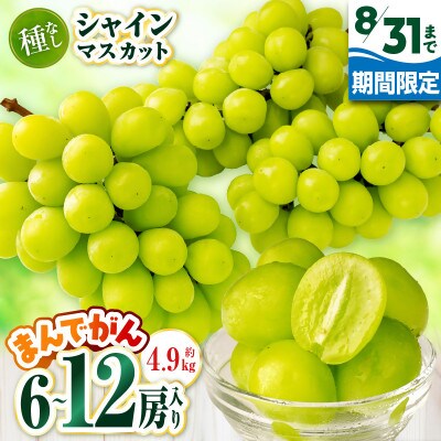 【8月31日(夏休み)までの期間限定企画!!】シャインマスカット　まんでがん　約4.9kg