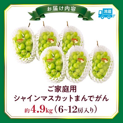【8月31日(夏休み)までの期間限定企画!!】ご家庭用　シャインマスカット　まんでがん　約4.9kg
