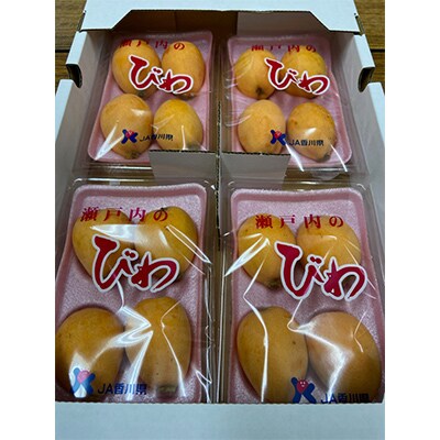 【発送月固定定期便】美味しい季節のフルーツ全6回