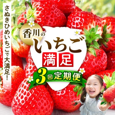 【発送月固定定期便】三木町産さぬきひめいちご定期便全3回