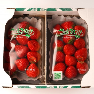 【発送月固定定期便】三木町産さぬきひめいちご定期便全3回