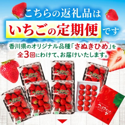 【発送月固定定期便】三木町産さぬきひめいちご定期便全3回