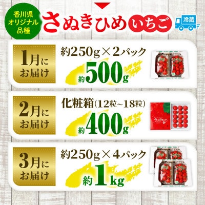 【発送月固定定期便】三木町産さぬきひめいちご定期便全3回