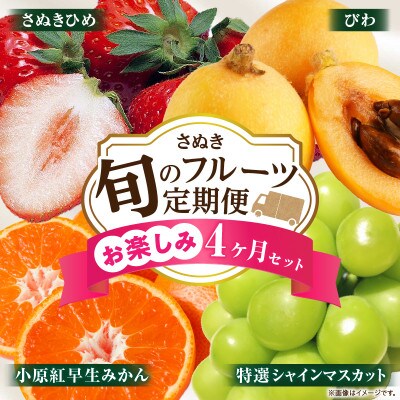 【発送月固定定期便】三木町フルーツ定期便全4回