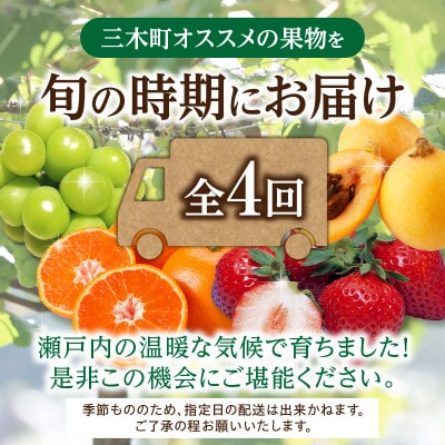 【発送月固定定期便】三木町フルーツ定期便全4回