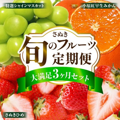 【発送月固定定期便】三木町フルーツ定期便全3回