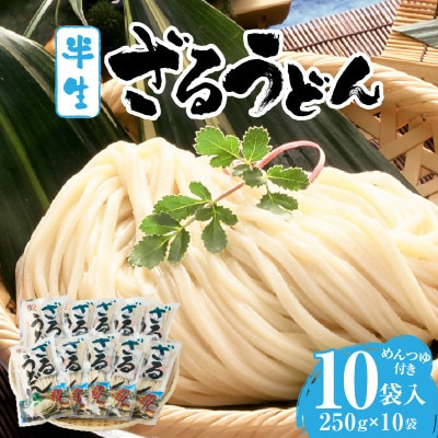 藤麺　ざるうどん半生10袋入