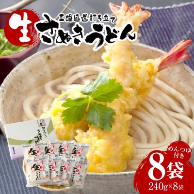 藤麺　工場直送打ち立て生うどん8ケ入