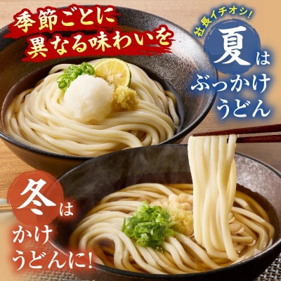 藤麺　包丁切りさぬき半生うどん20人前つゆ付