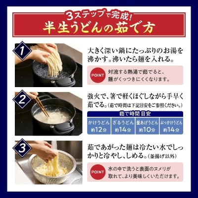藤麺　包丁切りさぬき半生うどん20人前つゆ付