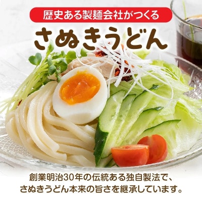 藤麺　うどんBOX　HANAIRO　10個入