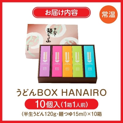 藤麺　うどんBOX　HANAIRO　10個入