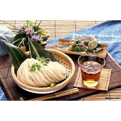 【発送月固定定期便】藤麺　ざるうどん半生10袋入全2回