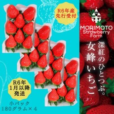 【苺ファーム森本】女峰いちご　小パック180g×4パック　≪ IDOMALL セレクト≫ | ふるさと納税のお礼品