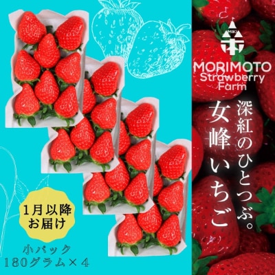 苺ファーム森本 女峰いちご 小パック180g 4パック Idomall セレクト お礼品詳細 ふるさと納税なら さとふる