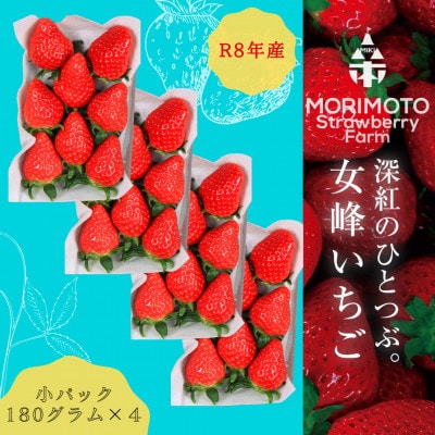 苺ファーム森本 女峰いちご 小パック180g×4 2026年1月~順次発送 IDOMALL セレクト