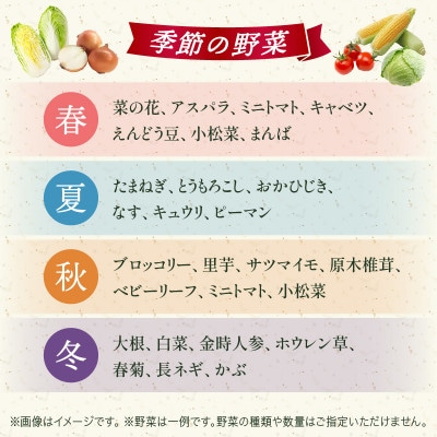 プチマルシェお野菜ボックス(S)　季節の野菜6～7種類　≪ IDOMALL セレクト≫