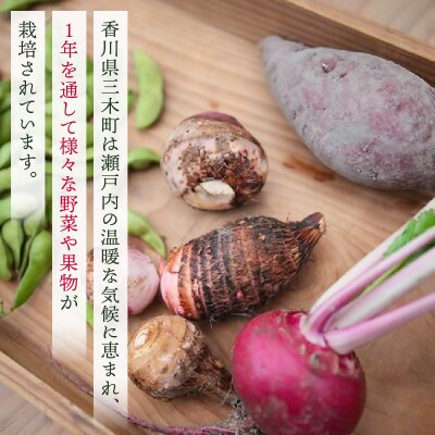 プチマルシェお野菜ボックス(M)　季節の野菜8～9種類　≪ IDOMALL セレクト≫