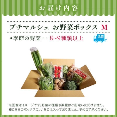 プチマルシェお野菜ボックス(M)　季節の野菜8～9種類　≪ IDOMALL セレクト≫