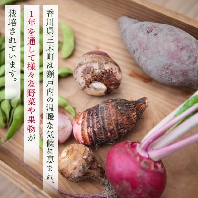 プチマルシェお野菜ボックス(L)　季節の野菜10種&女峰苺又はジャム　≪ IDOMALL セレクト≫