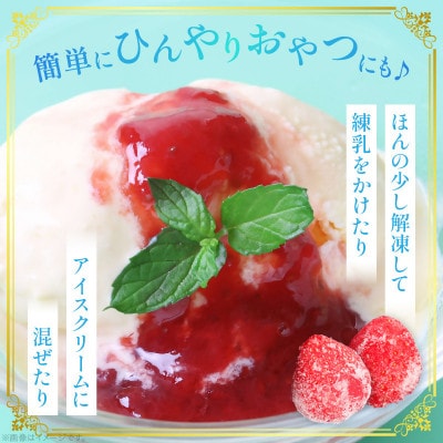 【苺ファーム森本】完熟女峰の冷凍いちご　450g×2袋　≪ IDOMALL セレクト≫