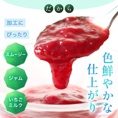 【苺ファーム森本】完熟女峰の冷凍いちご　450g×2袋　≪ IDOMALL セレクト≫