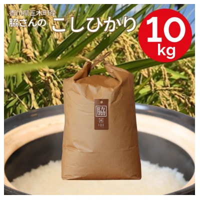 【令和7年産】香川県三木町産こしひかり10kg　≪IDOMALLセレクト≫