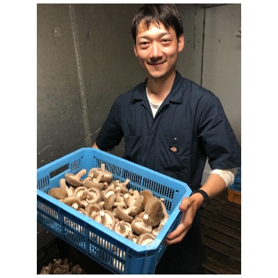 【大容量】肉厚ジャンボ椎茸箱詰め20個以上 約1kg