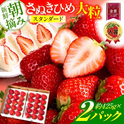 『苺音スタンダード』春の大粒さぬきひめいちご約850g【2027年3月～5月配送】