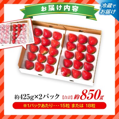 『苺音スタンダード』春の大粒さぬきひめいちご約850g【2027年3月～5月配送】