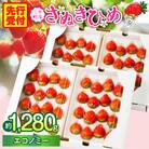 『苺音エコノミー』さぬきひめいちごがいっぱい!約1,280g【2026年2月～5月配送】