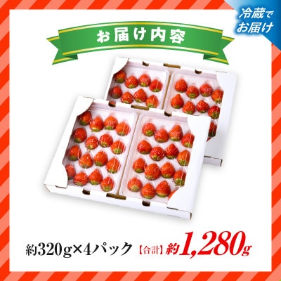 『苺音エコノミー』さぬきひめいちごがいっぱい!約1,280g【2027年2月～5月配送】