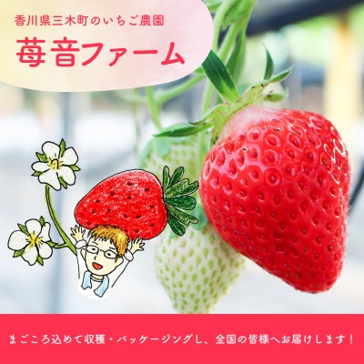 苺音ファームのおうちでいちご狩り気分セット ～さぬきひめ