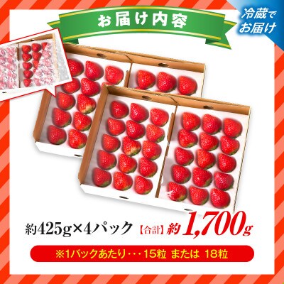 『苺音ファームの』おうちでいちご狩り気分セット～さぬきひめいちご～　【2027年3月～5月配送】