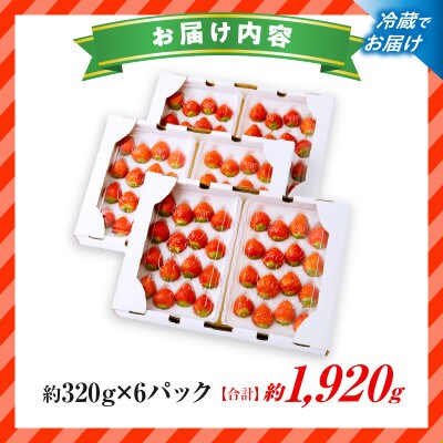 『苺音エコノミープラス+』～さぬきひめずくめな1週間が楽しめるセット～【2027年2月～5月配送】
