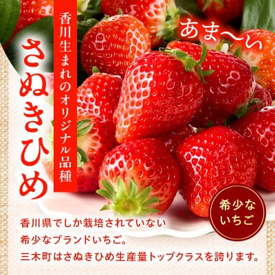 訳あり 苺音クラフト～加工用さぬきひめいちご約2kg【2027年5月配送】